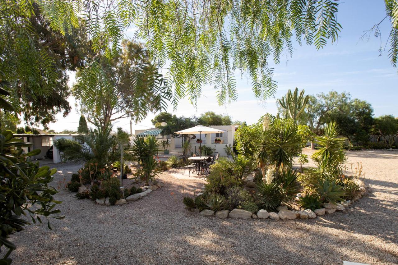 Apartment Costa Blanca Mutxamel Exterior foto